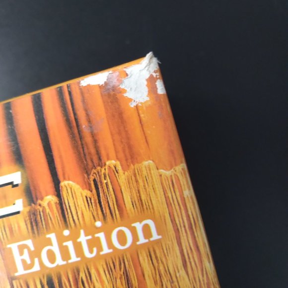 NSYNC JC Chasez Doll Lot/Bundle - Picture 16 of 16